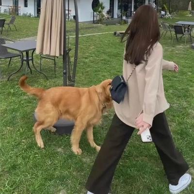 辣警狂花1