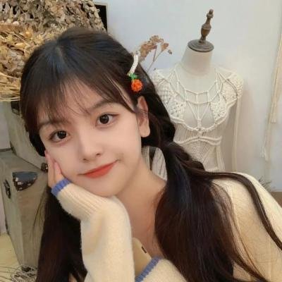 芭比姐妹与小马